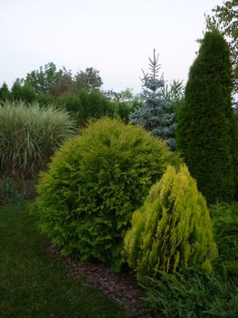 P1010141
