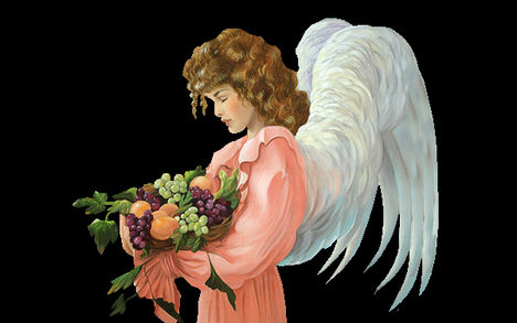 angel (182)
