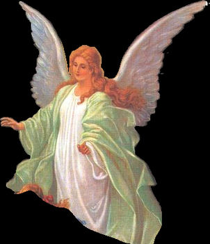 angel (318)