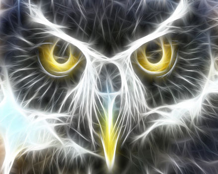 Owl-Gaurdian
