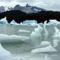 A Lago Grey jégszobrai, Torres del Paine, Chil