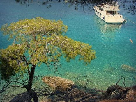 Spetses- sziget, tengerpart