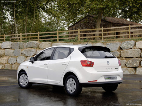 Seat Ibiza Ecomotive 1