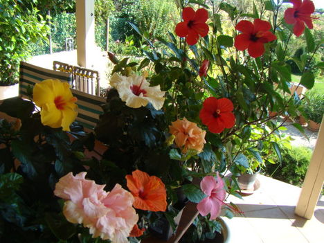 2010aug 20csoportkép 028