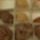 Cimg1554_844461_48509_t