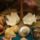 Cimg1558_844457_74704_t