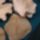 Cimg1559_844456_30637_t