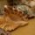 Cimg1563_844452_46827_t