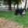 Img_0270_844672_96972_t