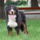 Img_0288_844897_64938_t
