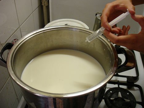 savó befecskendezése as tej összeugrasztásához
