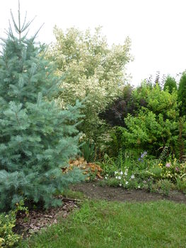 P1010171