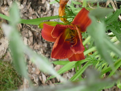 P1010174