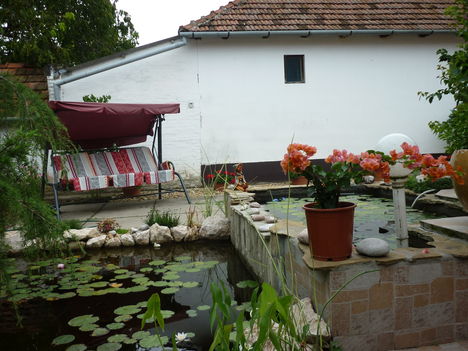 P1010195