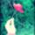 Pipacs_848854_84094_t