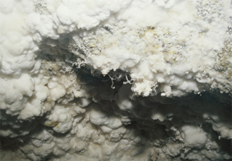 kristályalakzat a Gellérthegyi kristálybarlangban