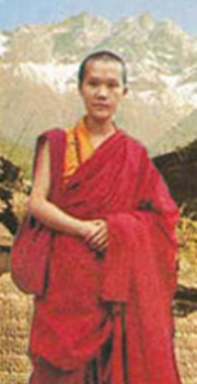 master-himalaya-2