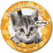CICA badge-cat-orange