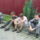 Erdelyben_8-007_855473_18414_t
