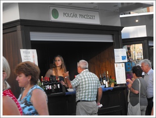 Bor fesztivál 2010 3