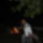 Forum_talalkozo_20100828_emmaroza_53_858613_42865_t