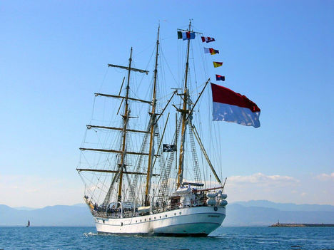 SAILING SHIPS (12)