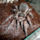 Acanthoscurria_insubtilis_010_862139_25042_t