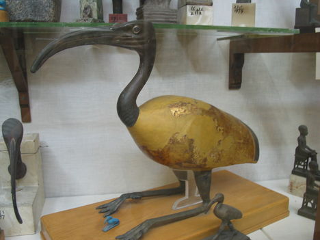 Dzsehutimesz íbisz-madár formában