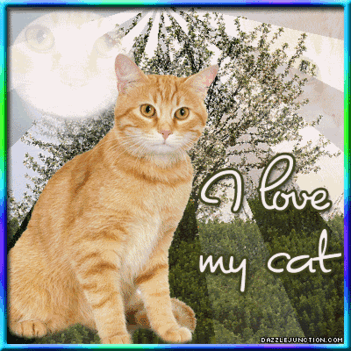 CICA i-love-my-cat_515