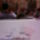 Open_office_konferencia__parlament_es_ceu_4_864109_90091_t
