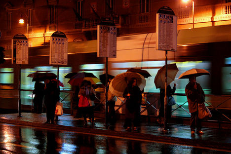 Rainy Evening in Largo Argentina