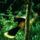 Brid12_866773_60038_t