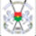 494pxcoat_of_arms_of_burkina_faso_svg_867480_62662_t