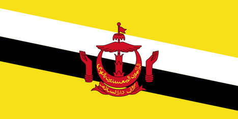800px-Flag_of_Brunei_svg