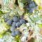 Kék szőlő