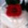 Rozsa15_868280_94527_t