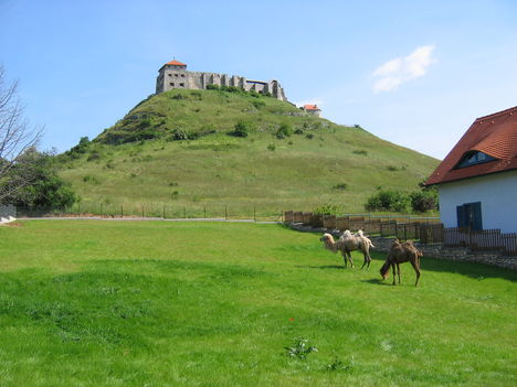 Sümegi vár - 2006.