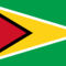 500px-Flag_of_Guyana