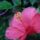 8317269_997a1de5d28dd28a1f55886b6b59f231_s_878955_55831_t