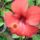 8717771_ff3e3d937f79ab535cbefc0371047d98_s_878957_95701_t