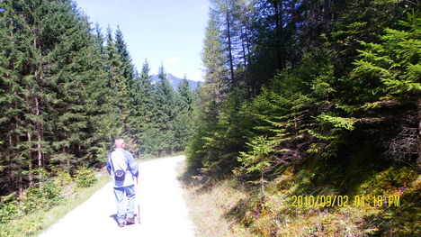 ez még a Zugspitze erdői