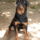 Lecso_a_gorog_isten__878749_51472_t