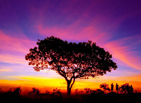 brazilia___marcio_cabral_21_432871_98973_n