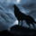 Farkas1_879958_65635_t