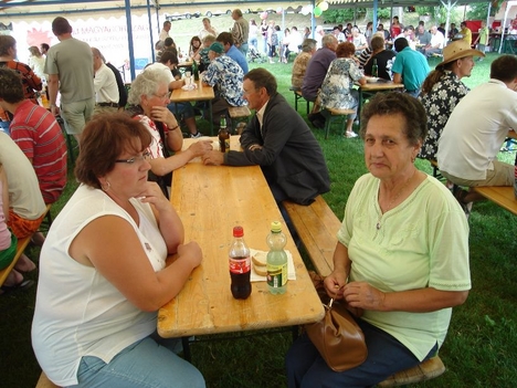 A XVIII. Győrsövényházi Falunap 2008. augusztus 30-án