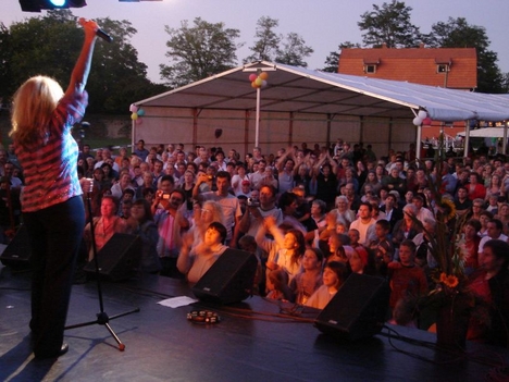A XVIII. Győrsövényházi Falunap 2008. augusztus 30-án