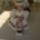 Cimg2612_881329_97625_t