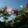 Itt_mar_csavarodik_rendesen_881955_59834_t