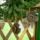 P1030656_881866_83264_t