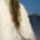 114566793_2nep7hjl_img_2357_882311_99246_t
